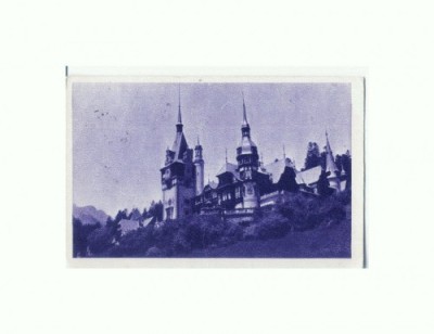 CP152-34 Castelul Peles Sinaia -sepia -circulata 1959 foto
