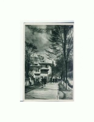 CP152-42 Sinaia -Vedere -RPR -sepia- circulata 1956 foto