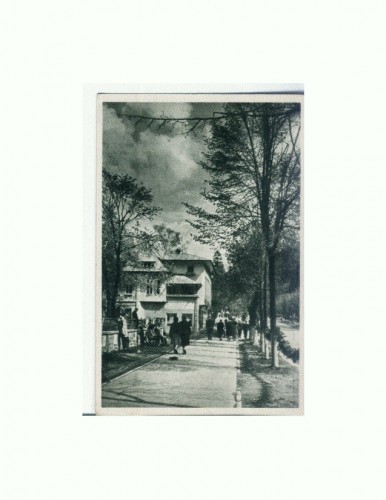 CP152-42 Sinaia -Vedere -RPR -sepia- circulata 1956 CP152-42 Sinaia -Vedere -RPR -sepia- circulata 1956