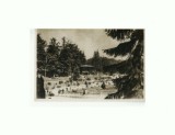 CP152-47 Sovata -Vedere din parc -RPR -sepia-circulata1957