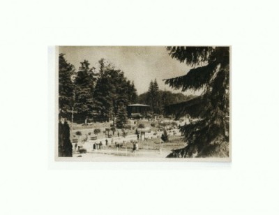 CP152-47 Sovata -Vedere din parc -RPR -sepia-circulata1957 foto