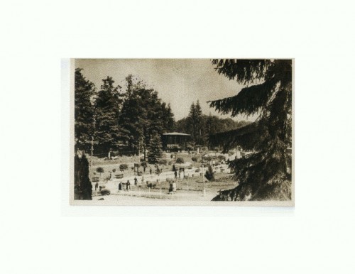 CP152-47 Sovata -Vedere din parc -RPR -sepia-circulata1957 CP152-47 Sovata -Vedere din parc -RPR -sepia-circulata1957