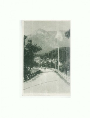 CP152-52 Poiana Tapului -Vedere spre Bucegi -sepia- circulata foto