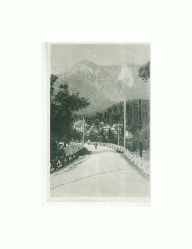 CP152-52 Poiana Tapului -Vedere spre Bucegi -sepia- circulata