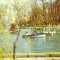 R2290 Bucuresti Gradina Cismigiu circulat 1962 RPR