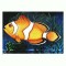 CP155-73 Peste de actinii(Amphiprion percula) -necirculata