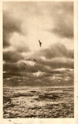 R492 Constanta Pescarusi circulat 1955 timbru dezlipit foto