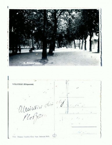 CP158-66 Valcele (Elopatak) Promenada-necirculata-tiparita1937 CP158-66 Valcele (Elopatak) Promenada-necirculata-tiparita1937