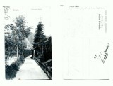 CP158-81 Sinaia -Carmen-Sylva -circulata 1907