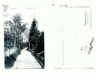 CP158-81 Sinaia -Carmen-Sylva -circulata 1907 foto