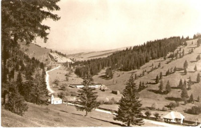 R2413 Muntii Ciucului Valea Ciucului circulat 1968 foto