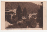 Baile Herculane / Vedere din parc - circulata anii 1920, timbre, Fotografie