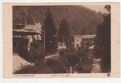 Baile Herculane / Vedere din parc - circulata anii 1920, timbre foto