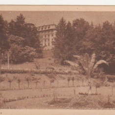 Baile Govora / Vedere din parc cu Hotelul Palace (1945)