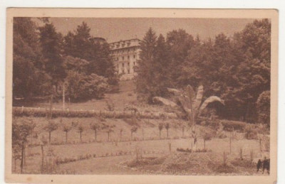 Baile Govora / Vedere din parc cu Hotelul Palace (1945) foto