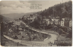 CFL 1906 ilustrata maghiara foto Sinaia jud Prahova vedere vile spre munte foto