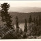 3920 Lacul vulcanic Sf. Ana, foto, necirculat, anterior 1945
