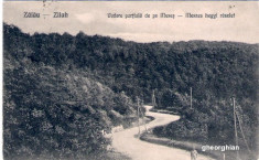 ZALAU MESES foto