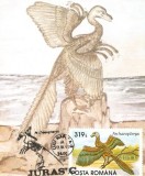 M27 Ilustrata maxima ARCHAEOPTERYX