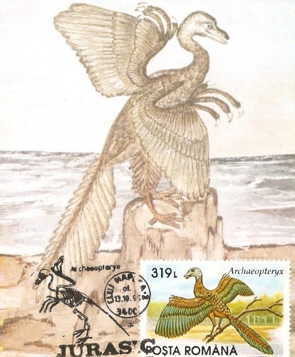 M27 Ilustrata maxima ARCHAEOPTERYX M27 Ilustrata maxima ARCHAEOPTERYX