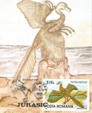 M24 Ilustrata maxima Pasari Archaeopteryx