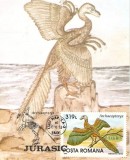 M24 Ilustrata maxima Pasari Archaeopteryx