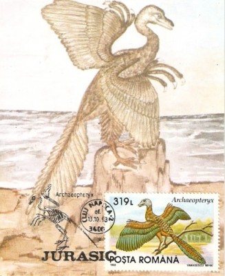 M24 Ilustrata maxima Pasari Archaeopteryx foto