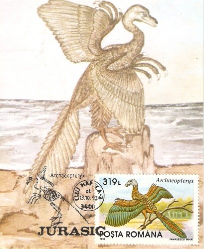 M24 Ilustrata maxima Pasari Archaeopteryx M24 Ilustrata maxima Pasari Archaeopteryx