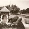 R3671 CRAIOVA CIRCULAT 1964