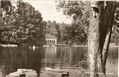 R3684 CRAIOVA CIRCULAT 1960 foto