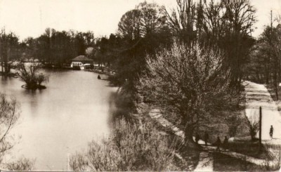 R3667 CRAIOVA CIRCULAT 1964 foto
