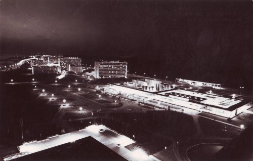 R-4443 Mamaia Circulata