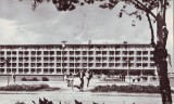 R-4455 Mamaia Circulata