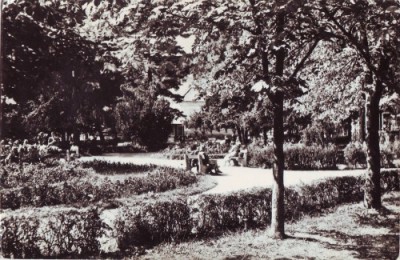 R-4826 Oradea Baile Victoria-Vedere din parc Circulata foto