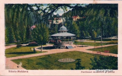 SLANIC MOLDOVA 1935 foto