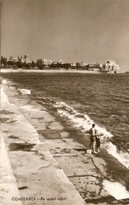 R3616 CONSTANTA CIRCULAT foto