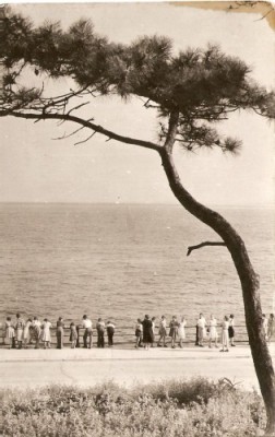 R3622 CONSTANTA CIRCULAT 1957 foto