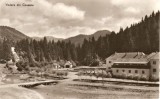 R3645 COVASNA CIRCULAT 1963