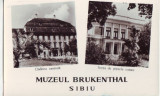 R-5160 Sibiu Muzeul Brukenthal Necirculata