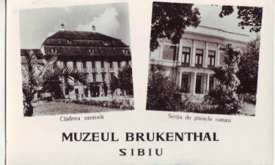 R-5160 Sibiu Muzeul Brukenthal Necirculata foto