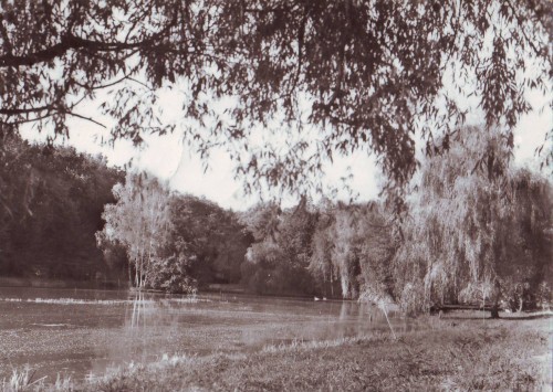 R-5182 Sibiu Vedere din Dumbrava Circulata