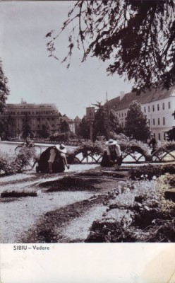 R-5206 Sibiu vedere Circulata foto