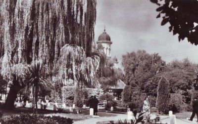 R-5048 Radauti Vedere din parcul orasului Necirculata foto