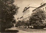 R3462 CLUJ Universitatea Victor Babes CIRCULAT