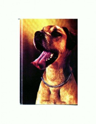 CP05 Tema canina foto