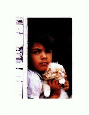 CP16 Tema canina foto