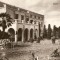 R3487 CLUJ Muzeul Botanic CIRCULAT 1960