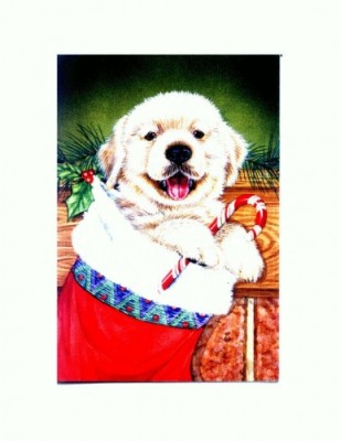 CP18 Tema canina foto