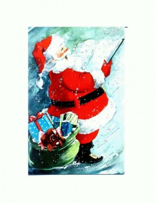 CP22 Tema canina foto