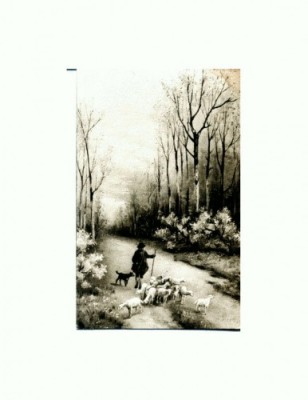 CP25 Tema canina foto